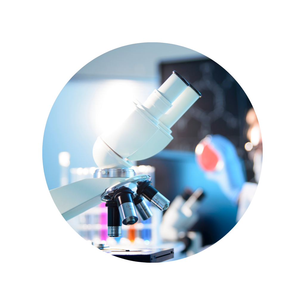 untitled design (19)